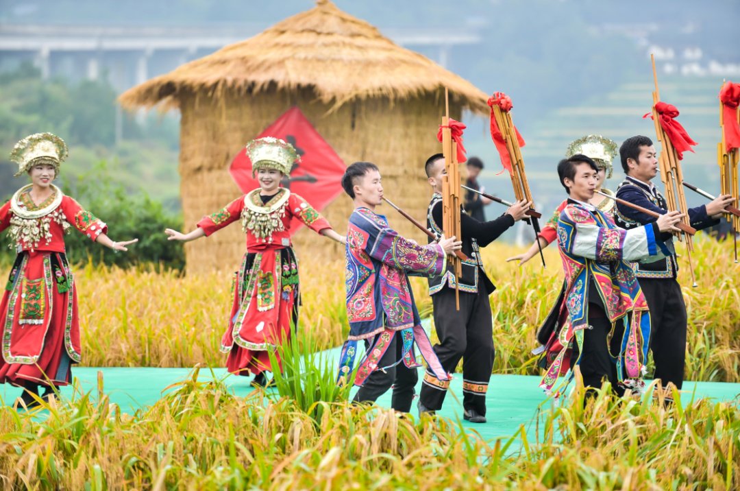 声音|假如丰收有声音，一定是这样婶儿的