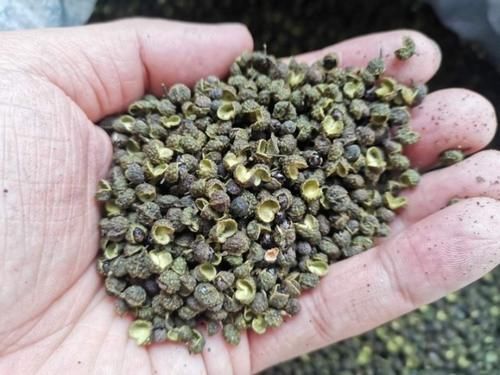 下锅|炸花椒油时,最忌直接下锅多加这1步,花椒油又香又麻,不发苦