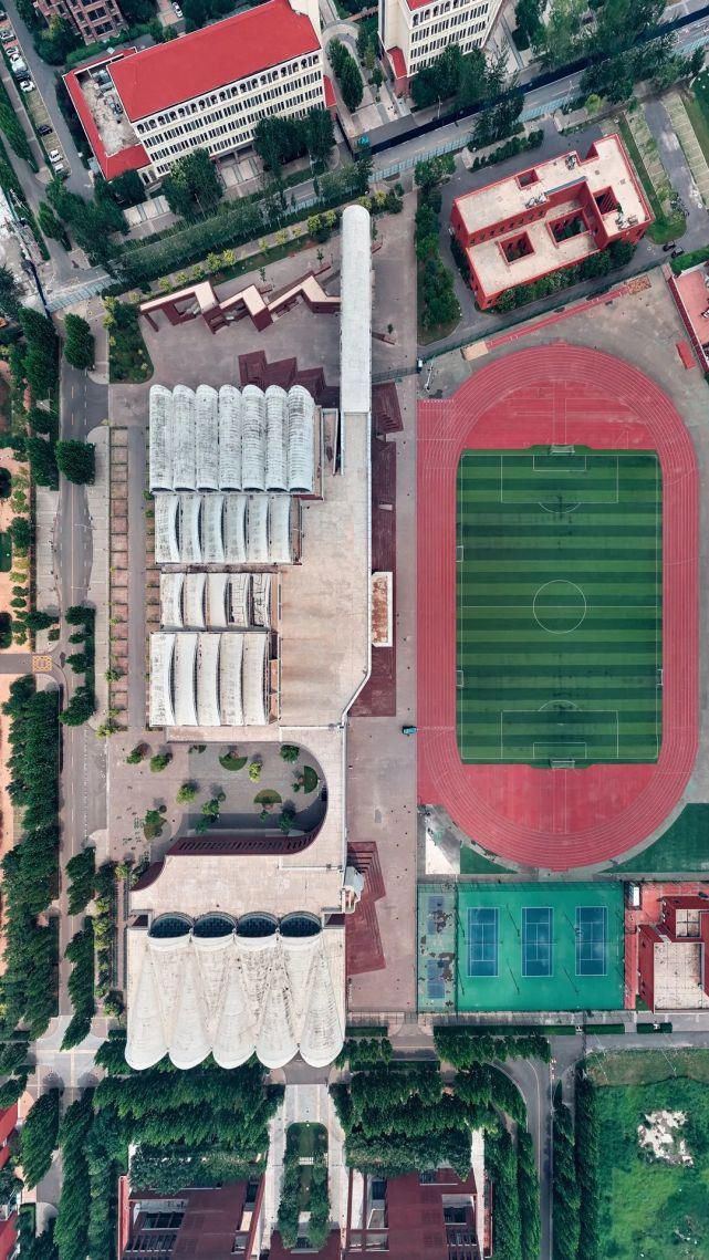 北洋园|啊,我的天大啊!