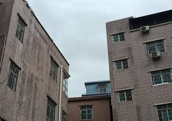  不止|realme 真我 V5：不止「奥利给」