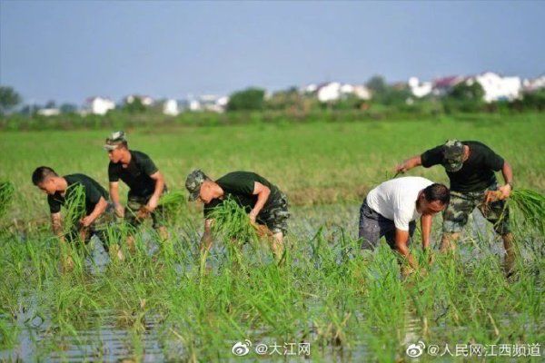 支队|武警江西总队宜春支队爱民助民暖民心