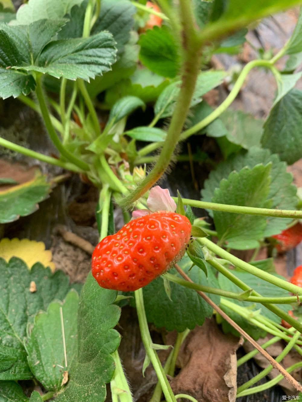  解释|【我们都过了解释的年纪】新的起点，出发吧