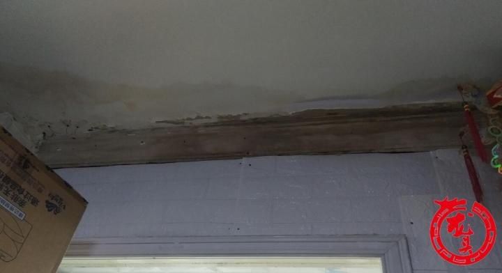 笼子|乐园街1-3号楼顶被鸡笼鸽笼霸占!居民家漏雨没法修