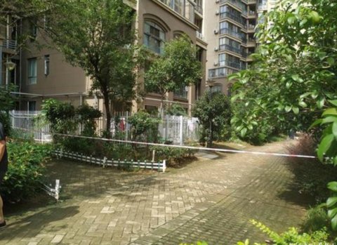 身体|7岁男童从11楼坠落被栅栏刺穿身体 送医后不治身亡