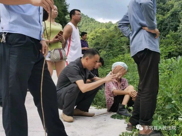  法院|牛是谁的说不清！贵州一法院给牛做“亲子鉴定”