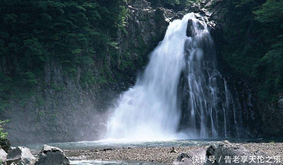 七月|七月开始:心想事成,好运相随,金银滔滔的生肖