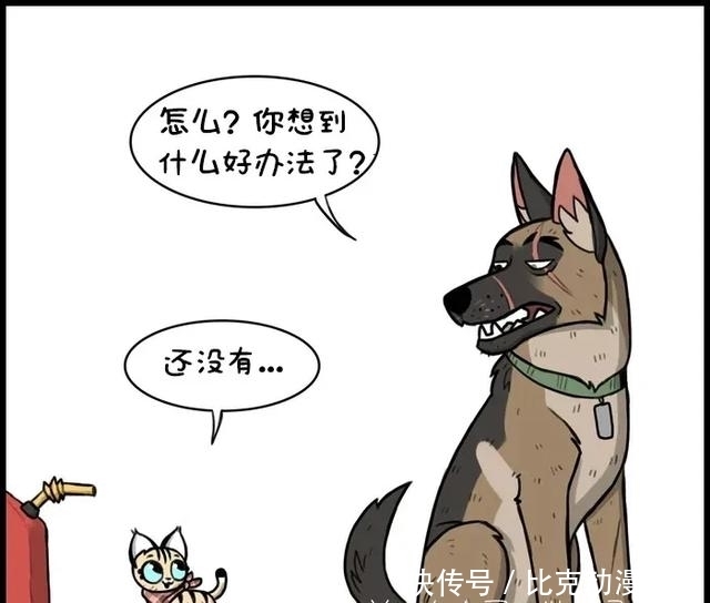  皮鞋|小皮鞋发现油罐漏了，想到了一个好办法（漫画）