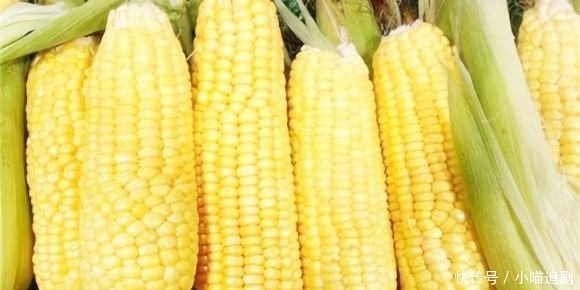 学会|新鲜玉米,不要直接冷冻!学会这么做,玉米放一年都吃着新鲜