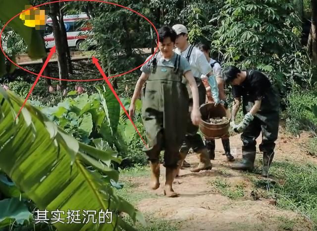  救护车|《向往》嘉宾挖藕，镜头无意间照到远处的救护车，节目组太用心了