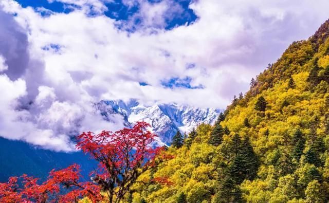 雨崩|近年大热的梅里北坡徒步,你可知它不止一条坡均小环线