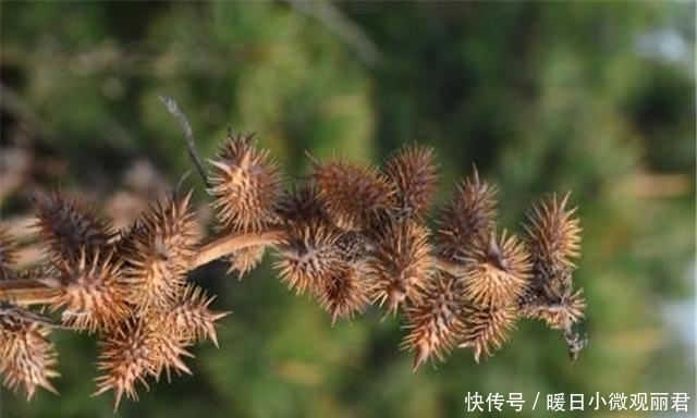 妃子|太监经常通宵伺候妃子, 却极少因打盹挨过罚, 孙耀廷道出事实真相