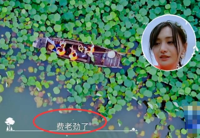  综艺节目|郑爽带萌娃摘莲藕，没想到急出东北话，才知她多接地气