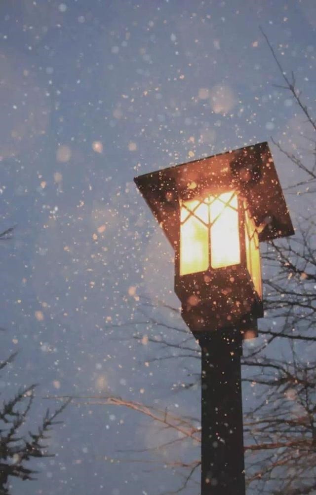 哲理|朋友圈点赞最多的心情短语,句句精辟有哲理!