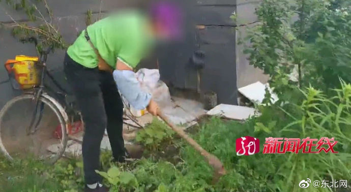 牡丹江|再好看也是“毒物”！牡丹江一小区有人种了这种花