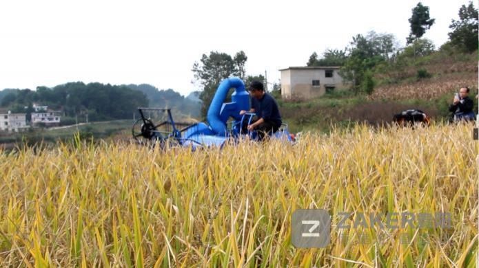  理工学院|“把论文写在大地上”|贵州理工学院师生对小型山地多功能水稻收还一体机进行稻田测试