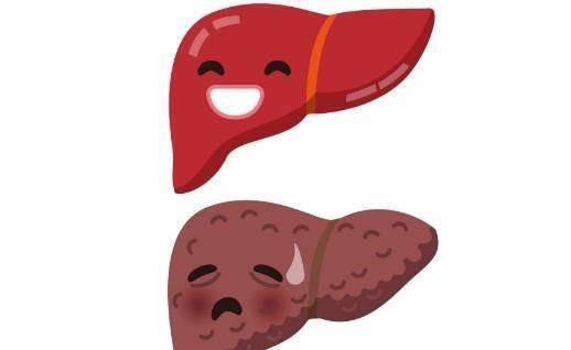  肝癌疾病|肝癌十有八九是吃出来的，医生提醒：这4种食物要戒掉，莫贪嘴