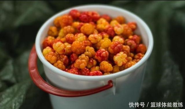 橙子|这种“野莓”不仅长得漂亮,维生素C还是橙子的3倍你见过吗