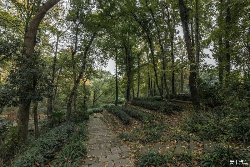  风光|畅游杭州杨梅岭，体验新颖的农家生活