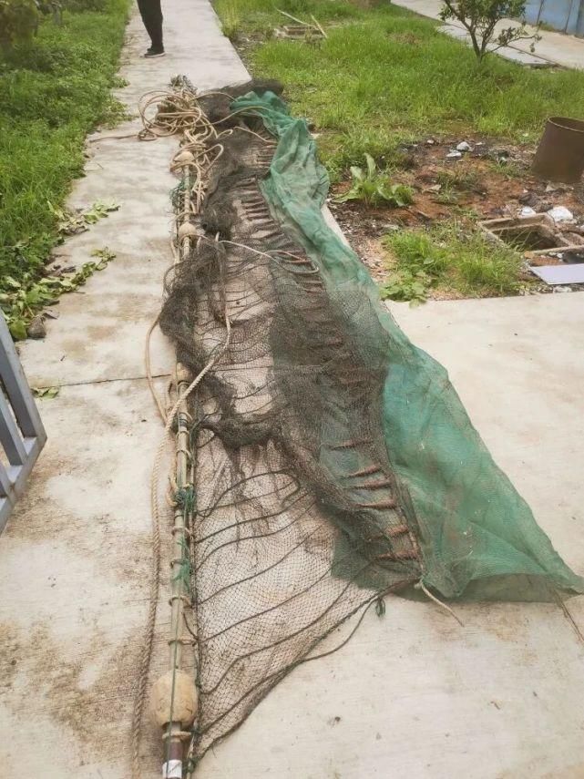 举报|举报！最高奖励2万元！