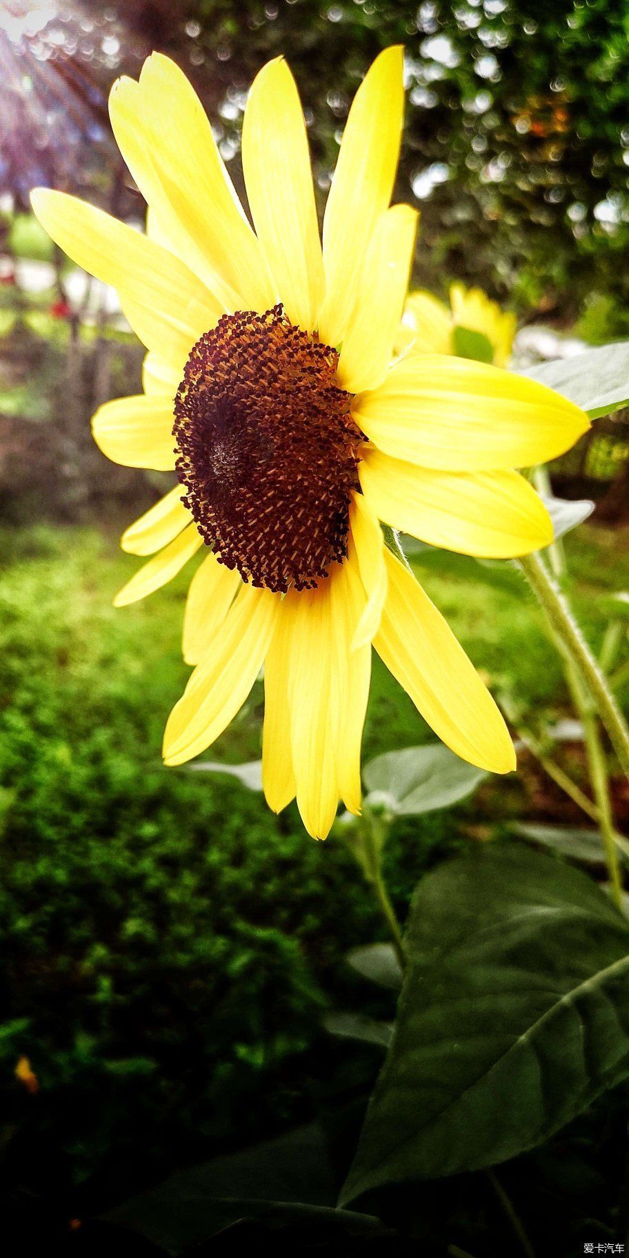  博物馆|游览中国园林博物馆