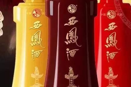 回来|宝鸡！我回来了！