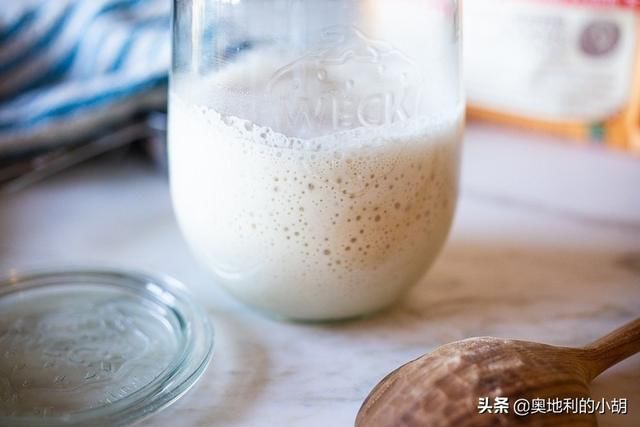  外国人|老面面包为什么更健康？外国人这么喜欢老面酸面包，原因很简单