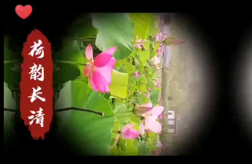 圆满|“青春show,遇见最美长清”短视频创作大赛圆满收官,快来看大奖瓜落谁家