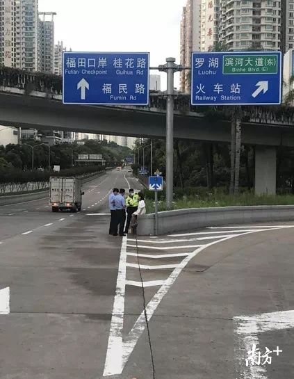 摇摇晃晃|醉酒女子摇摇晃晃，竟在机动车道逆行！见到这种情况，赶紧报警