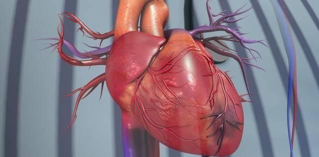  猝死|9岁小男孩半夜突发猝死，医生知道原因怒斥父母：简直不是人！