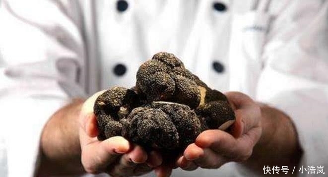 美食|法国最骄傲的美食, 号称“最奢侈”的食物之一, 但为什么在国内没人愿意吃