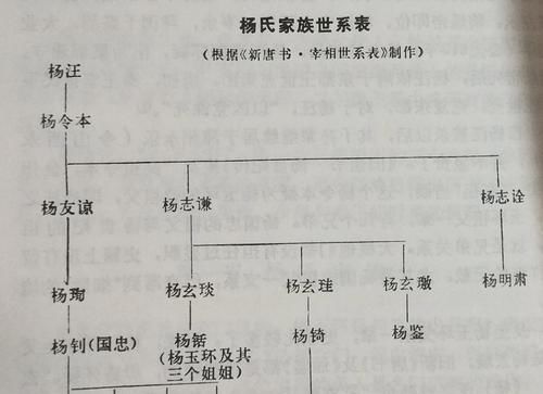 身世|杨贵妃身世之谜? 名门望族之后, 家族有着1000多年辉煌史