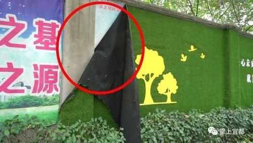 机动车|不文明行为和现象已被拍下,你“中招”了吗?