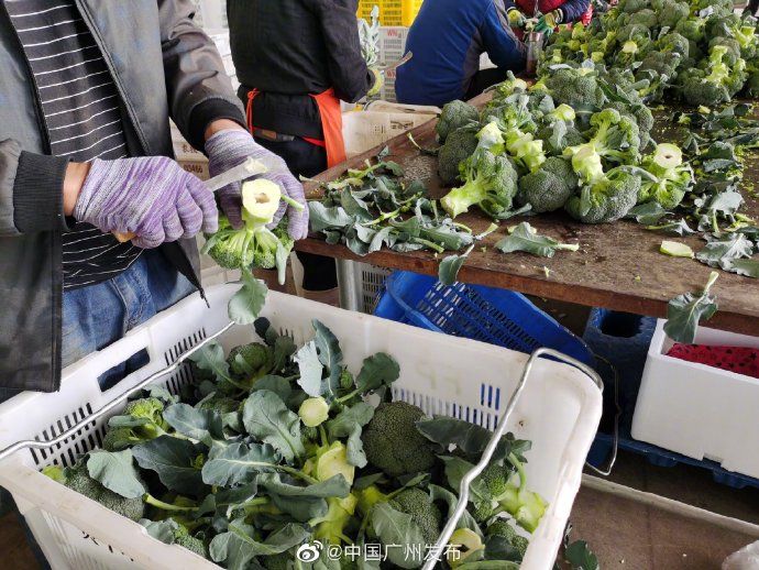 发货|发货啦!你饭桌上的菜,竟然是从这里打包发货的