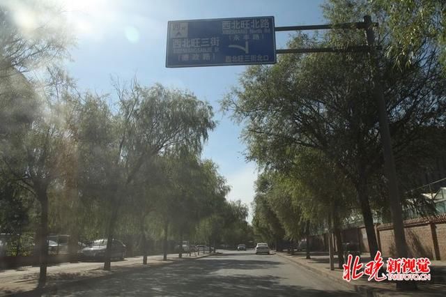  北路|海淀区西北旺北路 路面大坑填平了