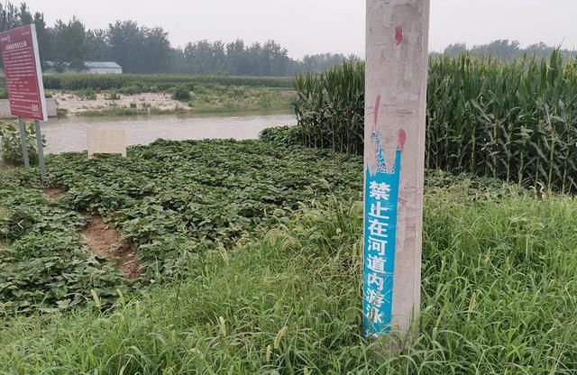  电动车|悲剧！3男孩野游溺亡，其中一孩子下水前打电话：他俩在水里扑腾，我去救