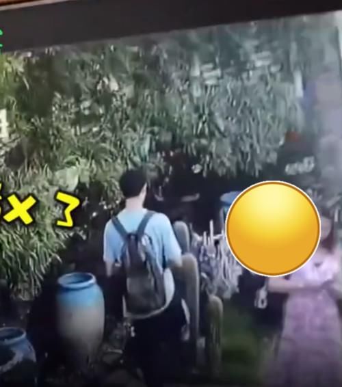 捡起来|请把素质捡起来，游客5脚踹断景区仙人掌，转头就跑