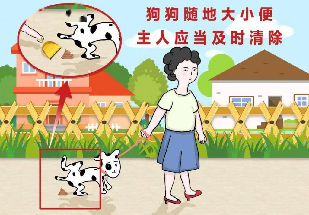 元以下罚款|我猜你闯不过第三关