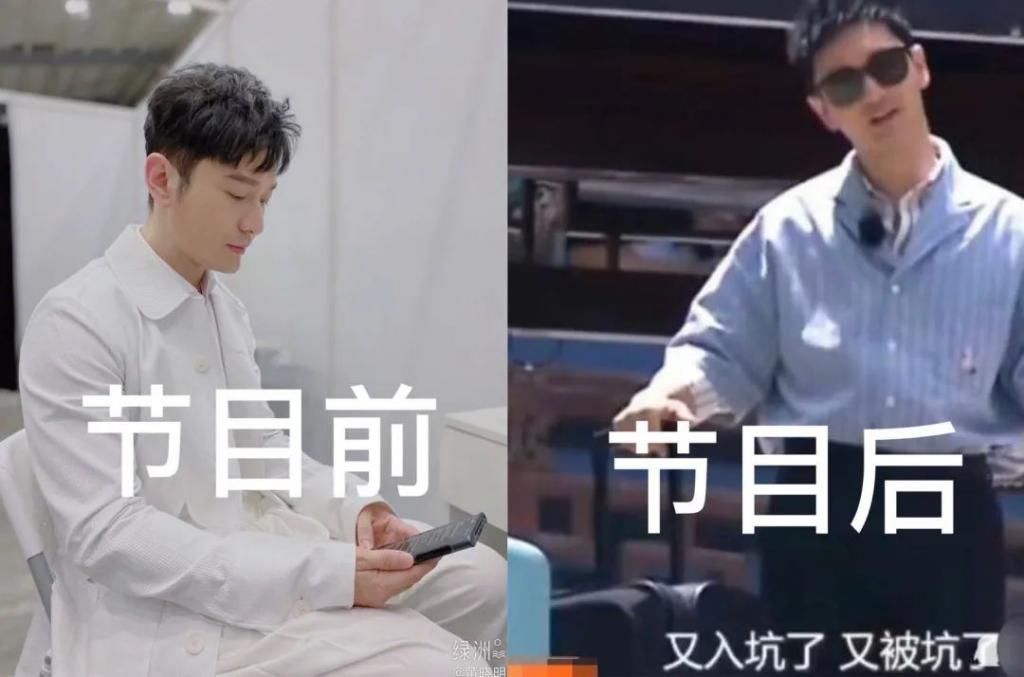  职场|“老店长”黄晓明搭档“新人”赵丽颖，《中餐厅4》又刷新职场组合了？