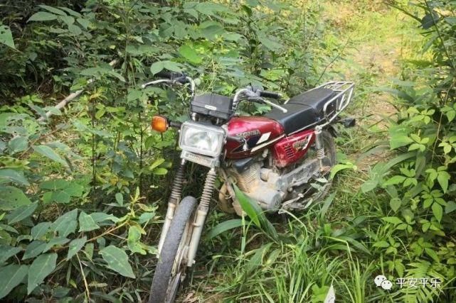 平乐|平乐人迹罕至的深山老林山顶现吸毒窝点，四名涉毒人员被抓！