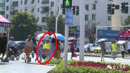 机动车|不文明行为和现象已被拍下,你“中招”了吗?