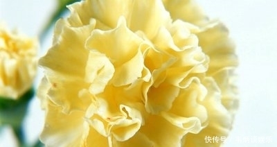  财气|大喜天降！下周开始喜鹊送喜报，财气入命来，强势逆袭的3生肖