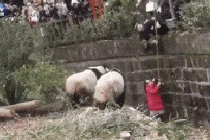 家长|这些家长带娃被登报批评！快看看你是否也干过？