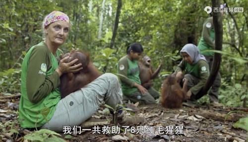  佳作|豆瓣预定超9分的佳作：原来我们错过许多惊喜，真遗憾没早点看到