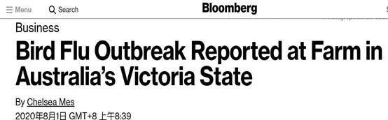  H7N7禽流感|澳大利亚又传出坏消息