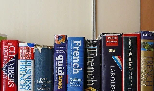  出席|多次出席APEC并担任国际电影节首席翻译官？竟然靠是超女出道