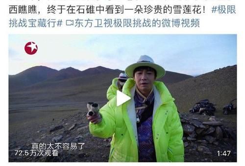  挑战|极限挑战嘉宾摘国家二级保护植物网友们炸了！刘宇宁道歉怎么回事？