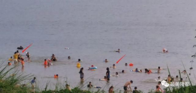  竟然|危险！很多隆都人竟然冒险在这个地方野游！