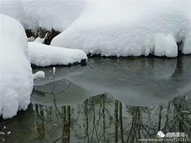  满归|大兴安岭满归，我的故乡……