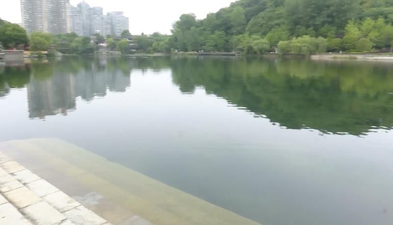  救人|男子跳湖救人，两部手机废了！目击者：手机我们买！