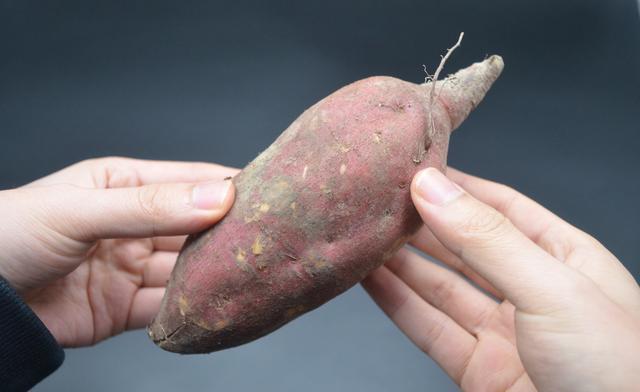  会越放越甜|保存红薯有妙招，一个简单的方法，放一年都不会坏，还越放越甜